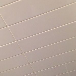 Meet your Posher, Leo